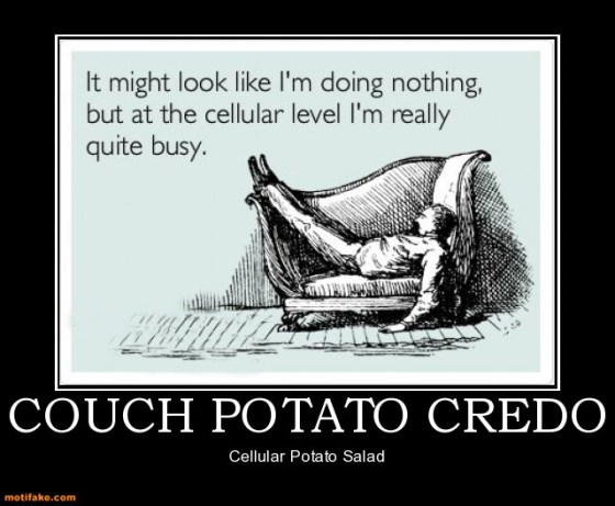 couch-potato-credo-lazy-demotivational-posters-1353121529