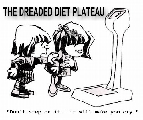 Diet_Plateau_cartoon (1)