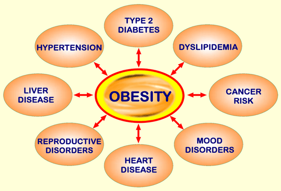 obesitycircl